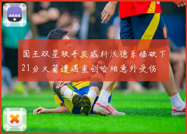 国王双星联手发威科沃德乐福砍下21分火箭遭遇重创哈珀意外受伤