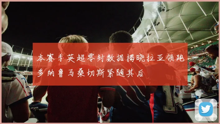本赛季英超零封数据揭晓拉亚领跑多纳鲁马桑切斯紧随其后